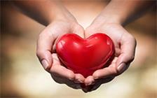 Z6��������ʱ���й����ٷ���վ