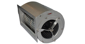 Z6��������ʱ���й����ٷ���վ